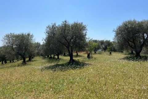 Landejendom i Ostuni, Brindisi, Ostuni - € 150.000 | Ref: 194 - foto 18