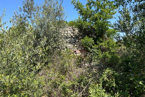 Landejendom i Ostuni, Brindisi, Ostuni - € 150.000 | Ref: 194 - foto 16