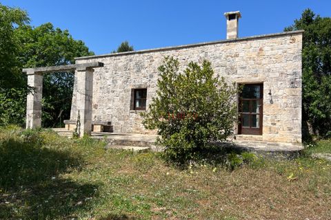 Landejendom i Ostuni, Brindisi, Ostuni - € 150.000 | Ref: 194 - foto 6