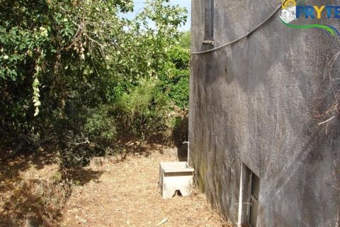 Landejendom i Proenca-a-Nova, Castelo Branco, Proenca-a-Nova - € 34.500 | Ref: VF22 - foto 5