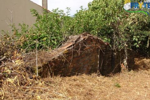 Landejendom i Proenca-a-Nova, Castelo Branco, Proenca-a-Nova - € 34.500 | Ref: VF22 - foto 6