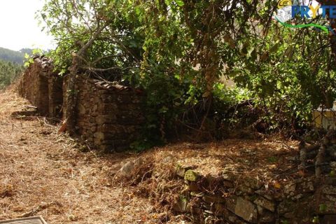 Landejendom i Proenca-a-Nova, Castelo Branco, Proenca-a-Nova - € 34.500 | Ref: VF22 - foto 15
