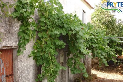Landejendom i Proenca-a-Nova, Castelo Branco, Proenca-a-Nova - € 34.500 | Ref: VF22 - foto 17
