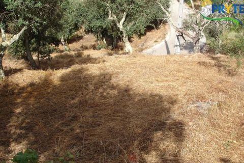 Landejendom i Proenca-a-Nova, Castelo Branco, Proenca-a-Nova - € 34.500 | Ref: VF22 - foto 19