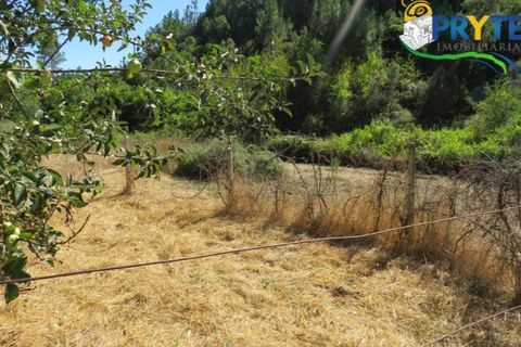 Helårsgrund i Serta, Castelo Branco, Serta - € 29.000 | Ref: AA145 - foto 8