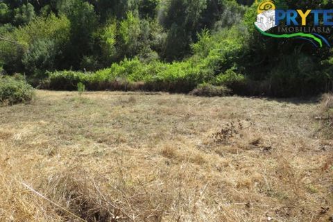 Helårsgrund i Serta, Castelo Branco, Serta - € 29.000 | Ref: AA145 - foto 9