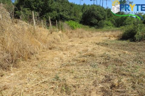 Helårsgrund i Serta, Castelo Branco, Serta - € 29.000 | Ref: AA145 - foto 10