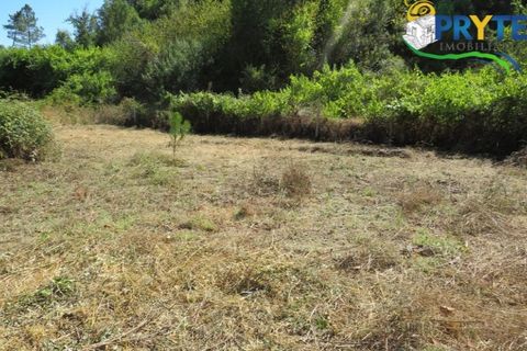 Helårsgrund i Serta, Castelo Branco, Serta - € 29.000 | Ref: AA145 - foto 11