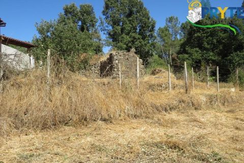 Helårsgrund i Serta, Castelo Branco, Serta - € 29.000 | Ref: AA145 - foto 12