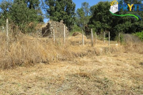 Helårsgrund i Serta, Castelo Branco, Serta - € 29.000 | Ref: AA145 - foto 13