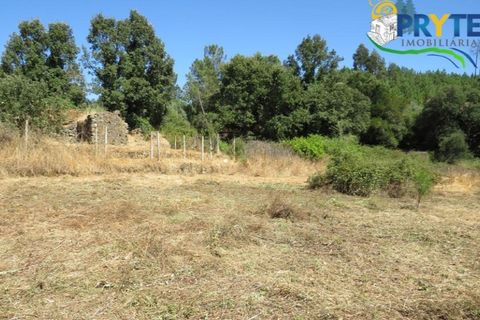 Helårsgrund i Serta, Castelo Branco, Serta - € 29.000 | Ref: AA145 - foto 15