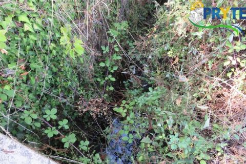 Helårsgrund i Serta, Castelo Branco, Serta - € 29.000 | Ref: AA145 - foto 16