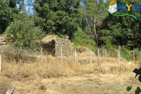 Helårsgrund i Serta, Castelo Branco, Serta - € 29.000 | Ref: AA145 - foto 19