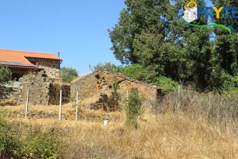 Helårsgrund i Serta, Castelo Branco, Serta - € 29.000 | Ref: AA145 - foto 20