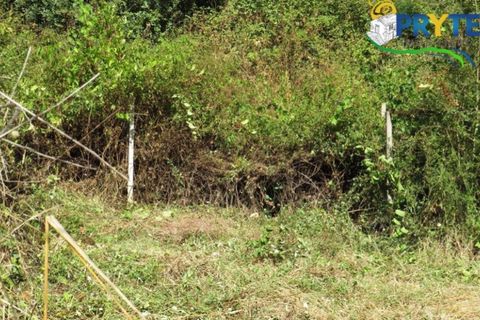 Helårsgrund i Serta, Castelo Branco, Serta - € 29.000 | Ref: AA145 - foto 22