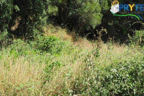 Helårsgrund i Serta, Castelo Branco, Serta - € 29.000 | Ref: AA145 - foto 23