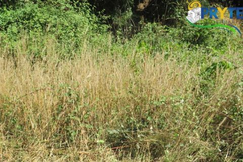 Helårsgrund i Serta, Castelo Branco, Serta - € 29.000 | Ref: AA145 - foto 24