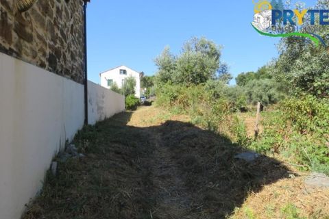 Helårsgrund i Serta, Castelo Branco, Serta - € 29.000 | Ref: AA145 - foto 29