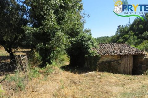 Helårsgrund i Serta, Castelo Branco, Serta - € 29.000 | Ref: AA145 - foto 30