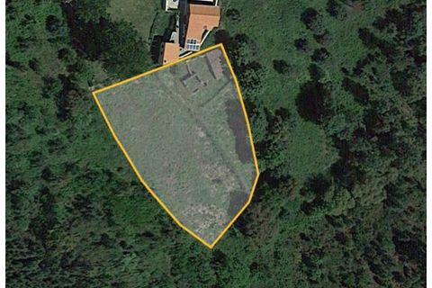 Helårsgrund i Serta, Castelo Branco, Serta - € 29.000 | Ref: AA145 - foto 32