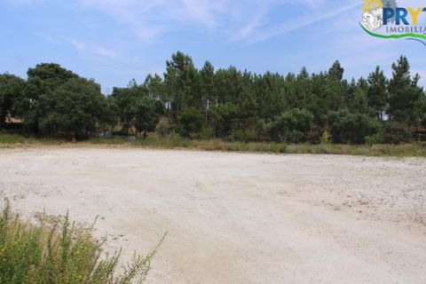 Erhvervsejendom i Macao, Santarem, Macao - € 120.000 | Ref: PM09 - foto 2