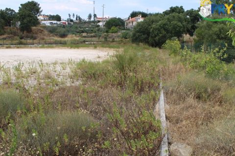 Erhvervsejendom i Macao, Santarem, Macao - € 120.000 | Ref: PM09 - foto 3