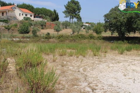 Erhvervsejendom i Macao, Santarem, Macao - € 120.000 | Ref: PM09 - foto 4