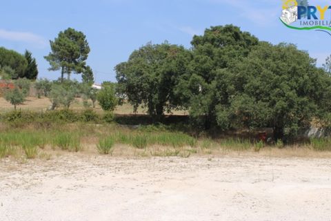 Erhvervsejendom i Macao, Santarem, Macao - € 120.000 | Ref: PM09 - foto 6