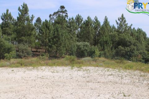 Erhvervsejendom i Macao, Santarem, Macao - € 120.000 | Ref: PM09 - foto 7