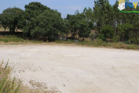 Erhvervsejendom i Macao, Santarem, Macao - € 120.000 | Ref: PM09 - foto 8