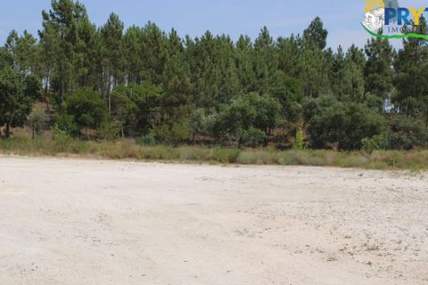 Erhvervsejendom i Macao, Santarem, Macao - € 120.000 | Ref: PM09 - foto 9