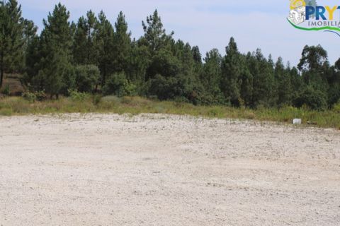 Erhvervsejendom i Macao, Santarem, Macao - € 120.000 | Ref: PM09 - foto 12