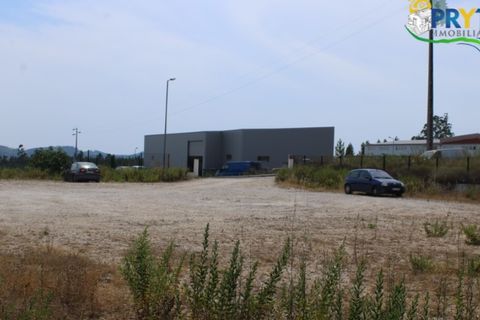 Erhvervsejendom i Macao, Santarem, Macao - € 120.000 | Ref: PM09 - foto 14