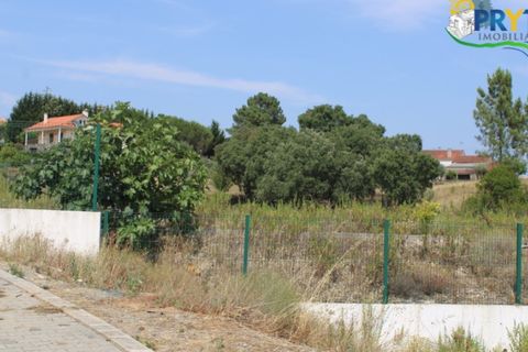Erhvervsejendom i Macao, Santarem, Macao - € 120.000 | Ref: PM09 - foto 17