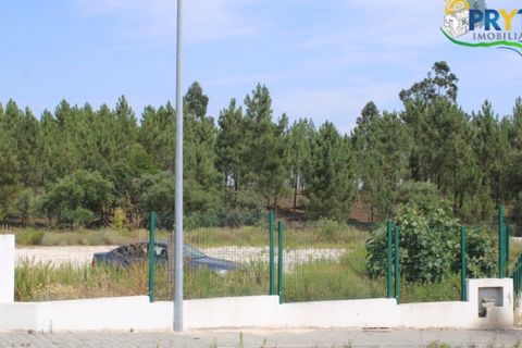 Erhvervsejendom i Macao, Santarem, Macao - € 120.000 | Ref: PM09 - foto 18