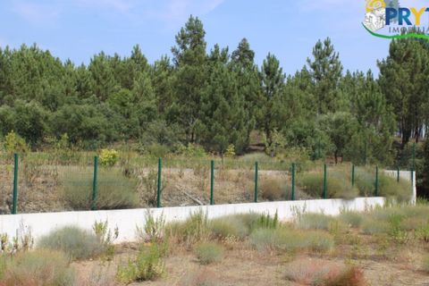 Erhvervsejendom i Macao, Santarem, Macao - € 120.000 | Ref: PM09 - foto 19