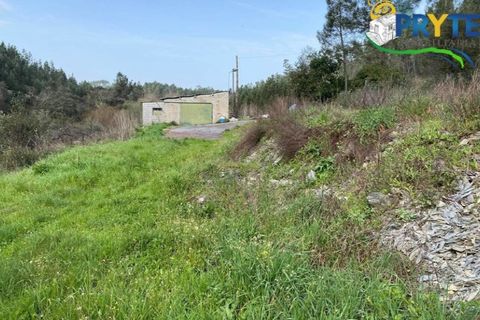Erhvervsejendom i Serta, Castelo Branco, Serta - € 85.000 | Ref: MG105 - foto 2