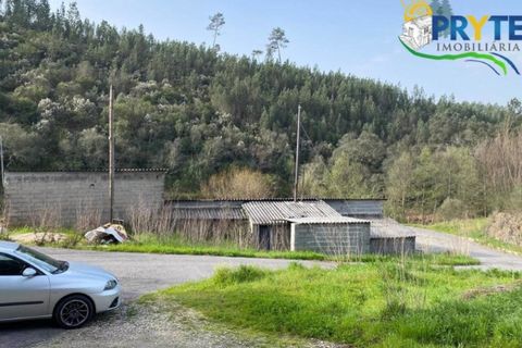 Erhvervsejendom i Serta, Castelo Branco, Serta - € 85.000 | Ref: MG105 - foto 3