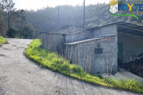 Erhvervsejendom i Serta, Castelo Branco, Serta - € 85.000 | Ref: MG105 - foto 5