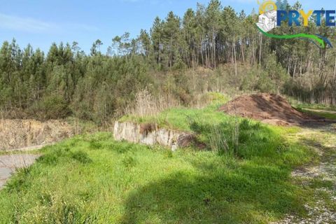 Erhvervsejendom i Serta, Castelo Branco, Serta - € 85.000 | Ref: MG105 - foto 6