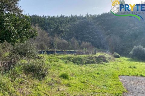 Erhvervsejendom i Serta, Castelo Branco, Serta - € 85.000 | Ref: MG105 - foto 7