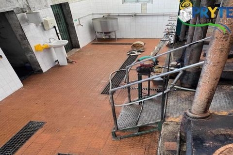 Erhvervsejendom i Serta, Castelo Branco, Serta - € 85.000 | Ref: MG105 - foto 22