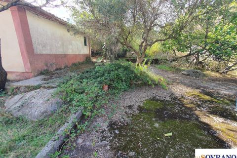Villa i Monreale, Palermo, Monreale - € 75.000 | Ref: 147/22 - foto 3