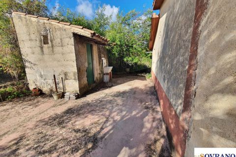 Villa i Monreale, Palermo, Monreale - € 75.000 | Ref: 147/22 - foto 4