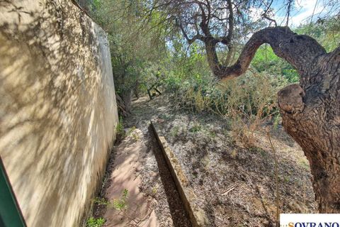 Villa i Monreale, Palermo, Monreale - € 75.000 | Ref: 147/22 - foto 5