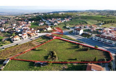 Terra a Meda, Guarda, Meda - € 95.000 | Ref: 379/MDA - foto 2