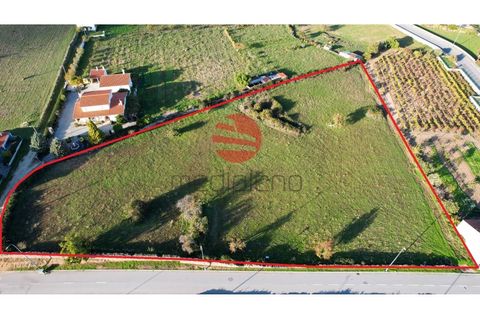 Terra a Meda, Guarda, Meda - € 95.000 | Ref: 379/MDA - foto 3