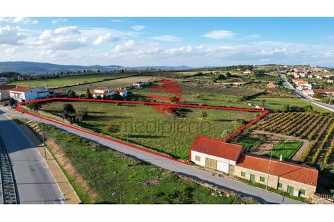 Terra a Meda, Guarda, Meda - € 95.000 | Ref: 379/MDA - foto 5