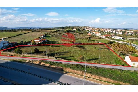 Terra a Meda, Guarda, Meda - € 95.000 | Ref: 379/MDA - foto 6