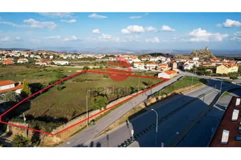 Terra a Meda, Guarda, Meda - € 95.000 | Ref: 379/MDA - foto 7